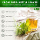 FreshDrinkUS, 55 Nettle Leaf Tea Bags, 100% Natural & Pure from Nettle Leaves. Loose Leaf Nettle Herbal Tea. Nettle Leaf Tea. No Sugar, No Caffeine, No Gluten, Vegan.