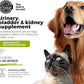 Cat & Dog Urinary Tract Treatment, Bladder & Kidney Support for Dogs and Cats, Powerful Yet Gentle Pet Care, with Liquid Cranberry & Glucosamine, Salmon Flavor, 6 oz Bottle, 1 Pack