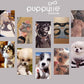 Puppytie No Pull xs Dog Harness with Multifunction Dog Leash,Soft Adjustable No Choke Escape Proof Pet Harness Vest,Silver Grey,XS