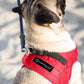 Comfort fit All Weather Step-in Dog Harness - Adjustable Small Dog Harness Medium Sized Dogs - Soft Padded Easy Walk Dog Vest Harnesses