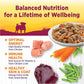 Wellness Petite Entrées Mini-Filets with Roasted Chicken, Beef, Carrots & Green Beans in Gravy, 3-Ounce Cup (Pack of 12)