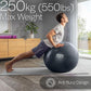 Exercise Ball for Workouts, Anti-Burst and Slip Resistant, Swiss Yoga Ball for Pregnancy, Stability, Fitness and Physical Therapy, 4 Sizes, with Pump