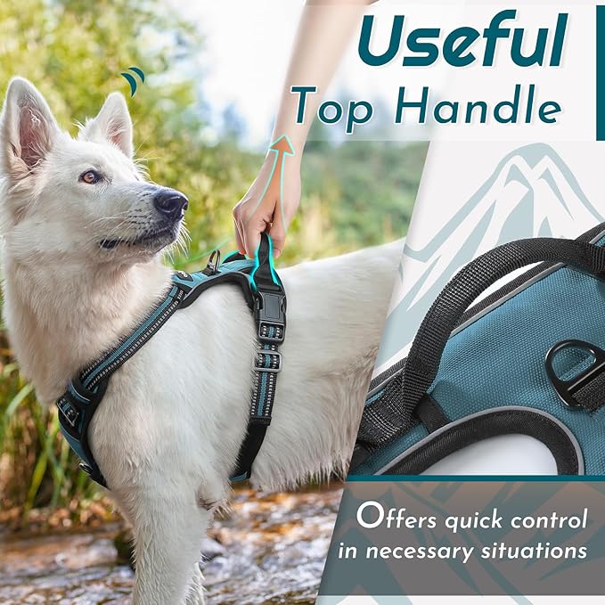 Eagloo Dog Harness Small Sized Dog, No Pull Service Vest with Reflective Strips and Control Handle, Adjustable and Comfortable for Easy Walking, No Choke Pet Harness with 2 Metal Rings, Dark Green, S