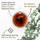 BREWIX, Earl Grey with Lavender Tea, Picnic in Paris Black Tea (25 Pyramid Tea Bags) | Black Tea with Bergamot, Lavender and Vanilla Notes | Gourmet Tea