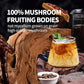 GANOHERB Instant Mushroom Coffee Powder, Arabica Coffee Mix with 5 Adaptogen Mushrooms, Lions Mane, Reishi, Chaga, Cordyceps, Shiitake and MCT Oil for Energy and Focus, 6.35oz, 30 Servings