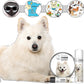 The Blissful Dog American Eskimo Nose Butter for Dry, Cracked Skin, Lick-Safe Dog Nose Balm with Moisturizing Shea Butter, Almond, Olive, and Essential Oils, Pet Supplies, Uncented, 2 oz.