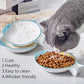 Double Whisker Friendly Ceramic Cat Food Dishes, Cute Shallow Anti Whisker Fatigue Wide Cat Bowl for Indoor Cats, Whisker Relief Flat Cat Plates for Wet Food, Small Pet Kitten Feeding Dish