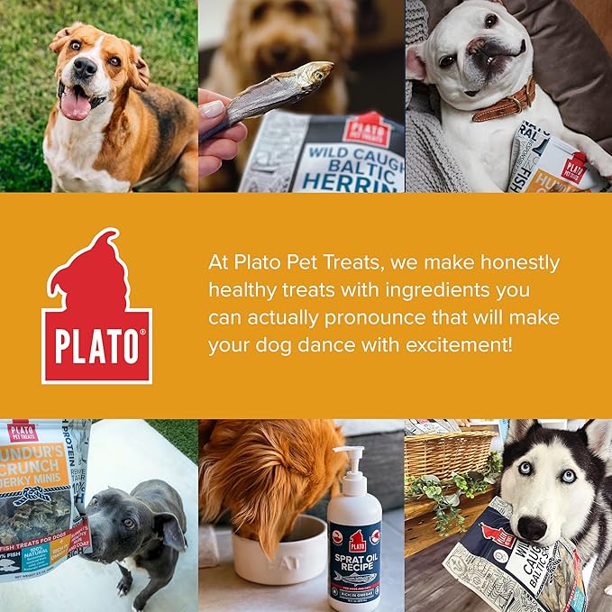 PLATO Hundur's Crunch Jerky Minis 10oz, Natural (859554001397)