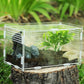 Magnetic Acrylic Case, micro habitat small Tarantula Enclosure enclosure for arboreal Tarantula Scorpion Sling Lizards Mantis Snake Gecko jumping spider snail Insect Isopods (7.8*4.7*4.7inch)