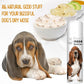 The Blissful Dog Basset Hound Nose Butter for Dry, Cracked Skin, Lick-Safe Dog Nose Balm with Moisturizing Shea Butter, Almond, Olive, and Essential Oils, Pet Supplies, Uncented, 0.50 oz.