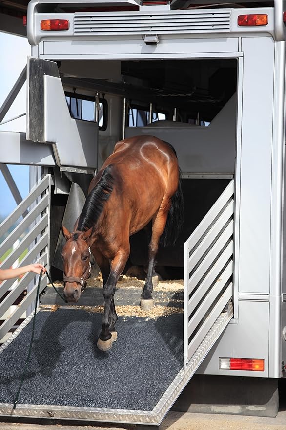Heavy Duty Horse Stall Mats - Stable Mats, Durable 3/4 in. Thick Rubber Flooring - Solid Black - 3.5' x 6' Mat for Stables, and More - 42 in. x 72 in. Stall Mat