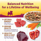 Wellness Petite Entrées Mini-Filets with Roasted Beef, Carrots & Red Peppers in Gravy, 3-Ounce Cup (Pack of 12)