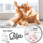The Blissful Cat Paw Butter, Moisturizer for Dry Paw Pads, Softens and Protects a Rough Paw, Versatile, Lick-Safe Cat Paw Balm, 1 oz.