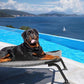 Veehoo Outdoor Elevated Dog Bed, Cooling Raised Dog Cot Bed XL, Portable Waterproof Curved Dogs Hammock Beds for Outside, up to 150lbs, Black Legs, Black Silver 49"