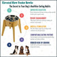 Slow Feeder Dog Bowls for Large Breed - Elevated, Raised 12-inch High - Bamboo Bowl with [60-oz Cap] Stainless Steel Inner Dish, Slow Feeding Insert Pad and Single Stand