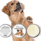 The Blissful Dog Mixed Breed Nose Butter, Versatile Dog Nose Balm for Dry Nose, Handcrafted Nose Moisturizer, Easy-to-Apply Dog Essentials, Unscented, 1 oz.