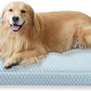 Tinaco Orthopedic Dog Couch Bed for Large Dogs, Cats - XX-Large, Washable, Removable Cover