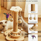 Cat Scratching Post, 4 in 1 Wooden Cat Scratcher Toy, 17.7" Tall Scratch Post with 2 Level Cat Track Balls, Interactive Feather Toy and 2 Sisal Hanging Balls for Indoor Kittens, Adult Cats