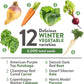 HOME GROWN 12 Winter Vegetable Seeds 𝗡𝗢𝗡-𝗚𝗠𝗢 Heirloom,Fall & Winter Vegetable Seeds for Planting Home Garden: Bean, Beet, Broccoli, Cabbage, Carrot, Cauliflower, Kale,Parsnip,Squash,Chard & More