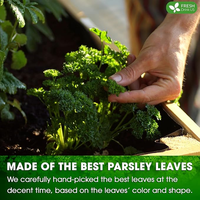 FreshDrinkUS, Premium 135 Parsley Leaf Tea Bags, 100% Natural & Pure from Parsley Leaves. Loose Leaf Parsley Herbal Tea. Made with Natural Material Tea Bags. No Sugar, No Caffeine, No Gluten, Vegan.