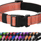 Reflective Dog Collar Padded with Soft Neoprene Breathable Quick Release Basic Dog Collars for Puppy Small Dogs Coral