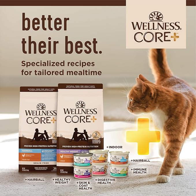 Wellness CORE+ Indoor Pate Adult Wet Cat Food, Natural, Protein-Rich, Grain Free, 2.8 Ounce, 12 Pack (Tuna & Tilapia)