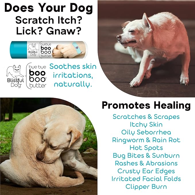 The Blissful Dog Soft Coated Wheaten Terrier Boo Boo Butter, 4 Ounce
