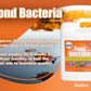 Pondworx Pond Bacteria - Formulated for Water Features and Safe for Koi (4 Gallon Value Pack)