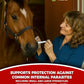 Ivermectin Horse Paste 1.87% – Apple Flavored – 6.08g Tube – for Horses Up to 1250 lb - 1 Pack