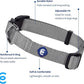 Blueberry Pet X-Small Adjustable Boy Dog Collar | for Male Dog, Durable & Quick Release for Pet Owners