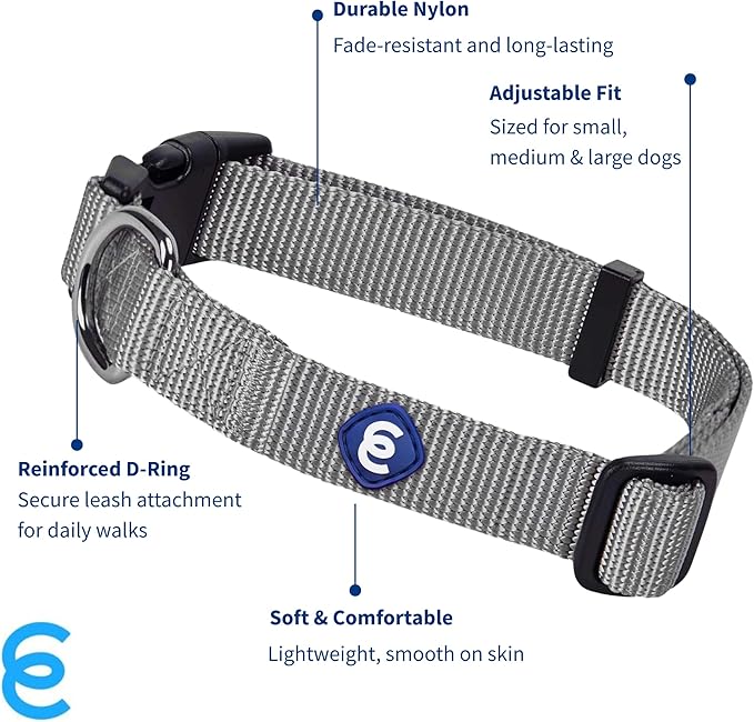 Blueberry Pet Essentials Medium Dog Collar in Flint Gray | Adjustable & Eco-Friendly Durable Nylon Strap | Classic Collar for Medium Dogs, Boy & Girl Pets