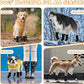 Dog Shoes for Large Small Medium Dogs, Dog Snow Boots Winter, Dog Booties and Paw Protectors to Prevent Licking, Anti-Slip Dog Shoes with Reflective for Hot Pavement,Hardwood Floors, Hiking (Size 3)