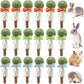 18-Pack Natural Alfalfa & Apple Wood Chew Lollipops for Small Pets - Healthy Dental Toys for Hamsters, Rabbits, Guinea Pigs, Chinchillas