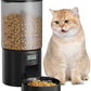Automatic Cat Feeder Food Dispenser: 6L Timed Small Dog Dry Food Dispenser with 10s Voice - Distributeur Nourriture Chat Hund Programmable - Auto Pet Feeder with 1-6 Meals Black