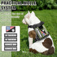 WINSEE Service Dog in Training Harness with 5 PCS Patches, Reflective Tactical Dog Vest Harness, Adjustable Soft Oxford Pet Harness with Easy Control Handle, Hook & Loop Panels for Walking Hiking