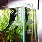 Glass Lily Pipe Set Outflow with Surface Skimmer & Multi-Level Water Intake (20mm for 19/25mm (3/4'' i.d.) tubing)