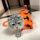 HDKUW Cat Grooming Bag,Foldable Travel Carrier for Cats,Anti-Bite Anti-Scratch Cat Grooming Restraint Bag,Pet Carrier for Administering Eye Drops,Ear Cleaner,Clipping Nails Orange M
