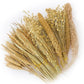 ZIPPYPET Hamster Sprays and Forage Accessories for Cages, Pet Mouse Decor Textures (5)