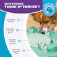 Outward Hound by Nina Ottosson Dog Worker Treat Puzzle Enrichment Toy, Level 3 Advanced, Green