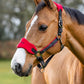LeMieux Vogue Fleece Headcollar - Halter & Leadrope - Extra Padding, Adjustable at Curb and Poll Strap