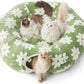 Lesure Large Cat Tunnel Bed - Cute Donut Bed for Indoor Cats with Washable Circle Cushion, Round Pet Peekaboo Cave Toy for Multi Kitten/Puppy/Rabbit, Large Green