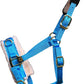 T TEKE Lunge Cavesson with Fleece Lined Nose Band and Crown