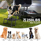 Extra Wide Dog Stairs for Large Dogs, Foldable Dog Ramp for Car with Non-Slip Surface, Lightweight Dog Stairs for Cars, Dog Steps for Cars, SUV, High Beds, Truck, Supports up to 250 lbs, 4 Steps