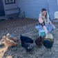 10lbs Dried Mealworms - Premium Non-GMO Chicken Feed, Nutritious High Protein Meal Worms- Food and Treats for Laying Hens, Wild Birds, Ducks, Chicken
