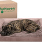Furhaven Orthopedic Dog Bed for Large Dogs w/ Removable Bolsters & Washable Cover, For Dogs Up to 125 lbs - Faux Fur & Velvet Sofa - Driftwood Brown, Jumbo Plus/XXL