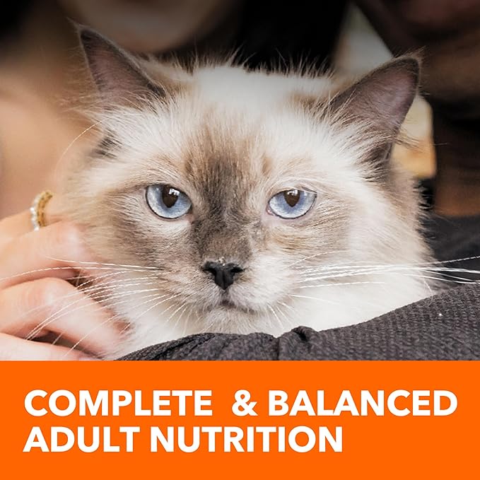 IAMS Proactive Health Adult Healthy Dry Cat Food with Chicken, 3.5 lb. Bag