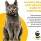 BirdsBeSafe® Break Away Cat Collar with Bell, Reflective Thread for Night Visibility, Comfortable Elastic Stretch Cat Collar to Protect Cat from Getting Stuck in The Garden.