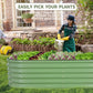 Galvanized Raised Garden Bed Outdoor- Raised Beds for Gardening| Metal Planter Box, Steel Raised Garden Bed Kit with Safety Edging and Gloves for Vegetables, Flower, Herbs (6x2x1.4FT, Green)