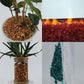TWINKLING High Luster Fire Glass Gravel Stone Glitter,Broken Glass,Fire Gems Chips,Crushed Glass for Fire Pit Crafts Resin Art Aquarium Garden Decoration,3-6mm,1-Pound Jar (Deep Amber)