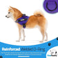 PawPawify Custom No Pull Dog Harness with Name and Phone Number, Heavy Duty Personalized Pet Vest to Prevent Tugging, Pulling, or Choking, Training and Walking (New Purple, XL (60-85 LBS))